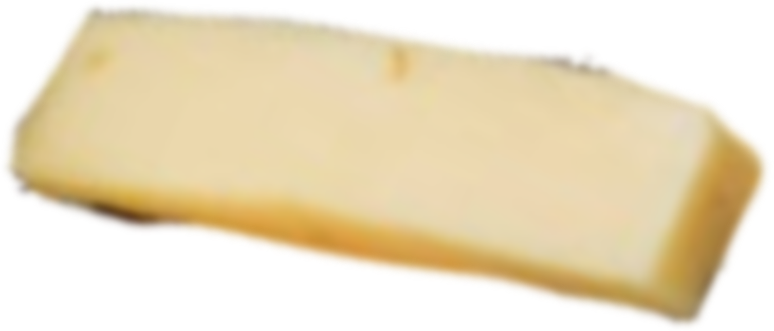 cheese-rectangle